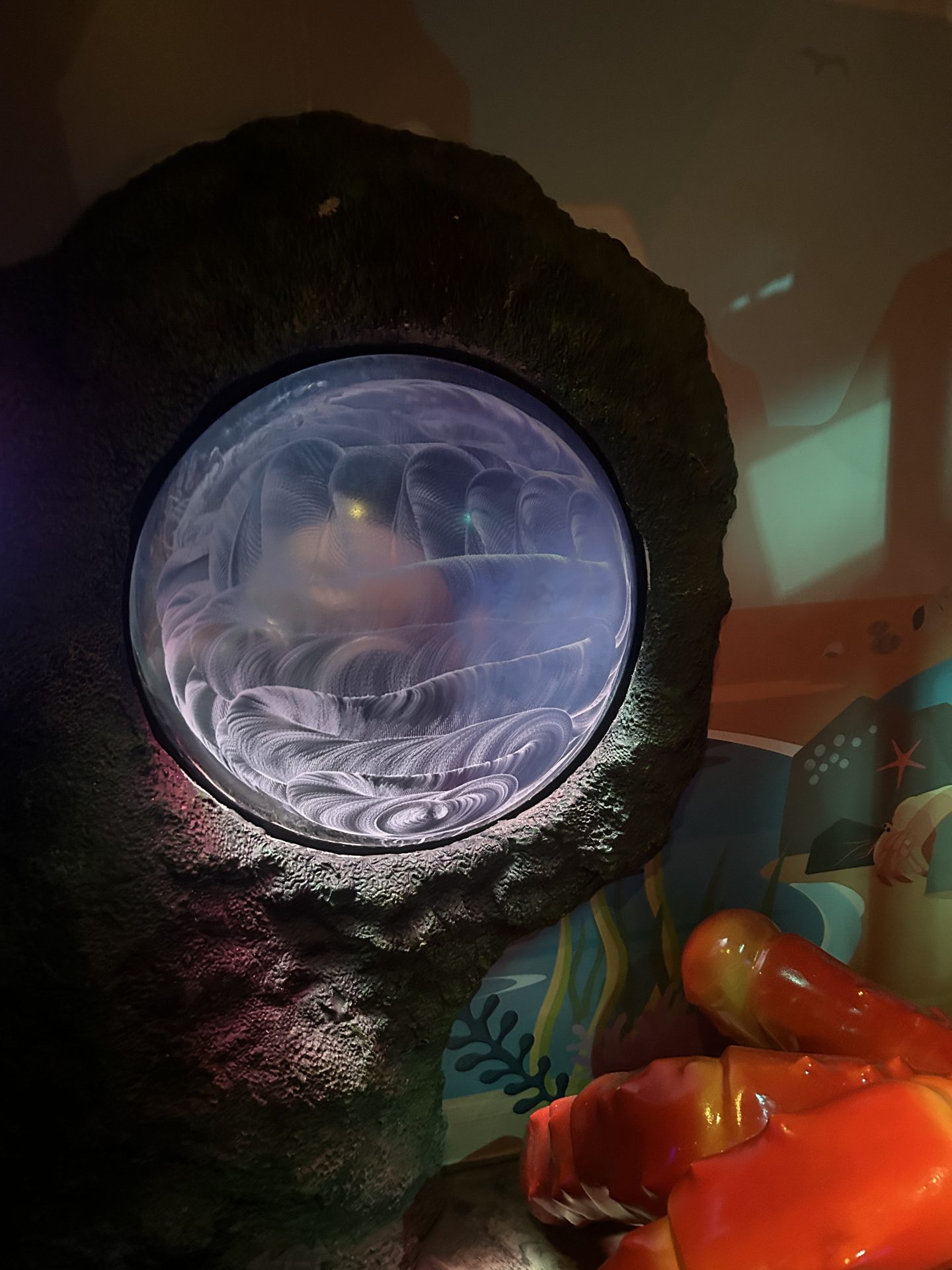 Aquarium Polishing